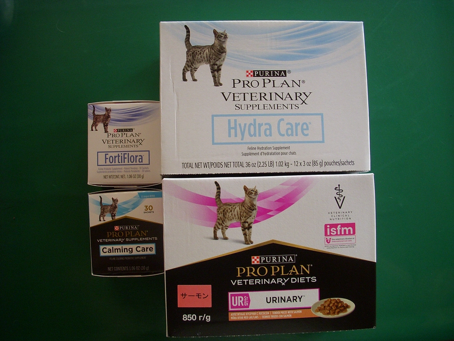 いつもありがとうございます