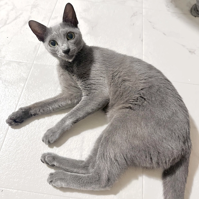 【残り4️⃣日💦】投薬78日目