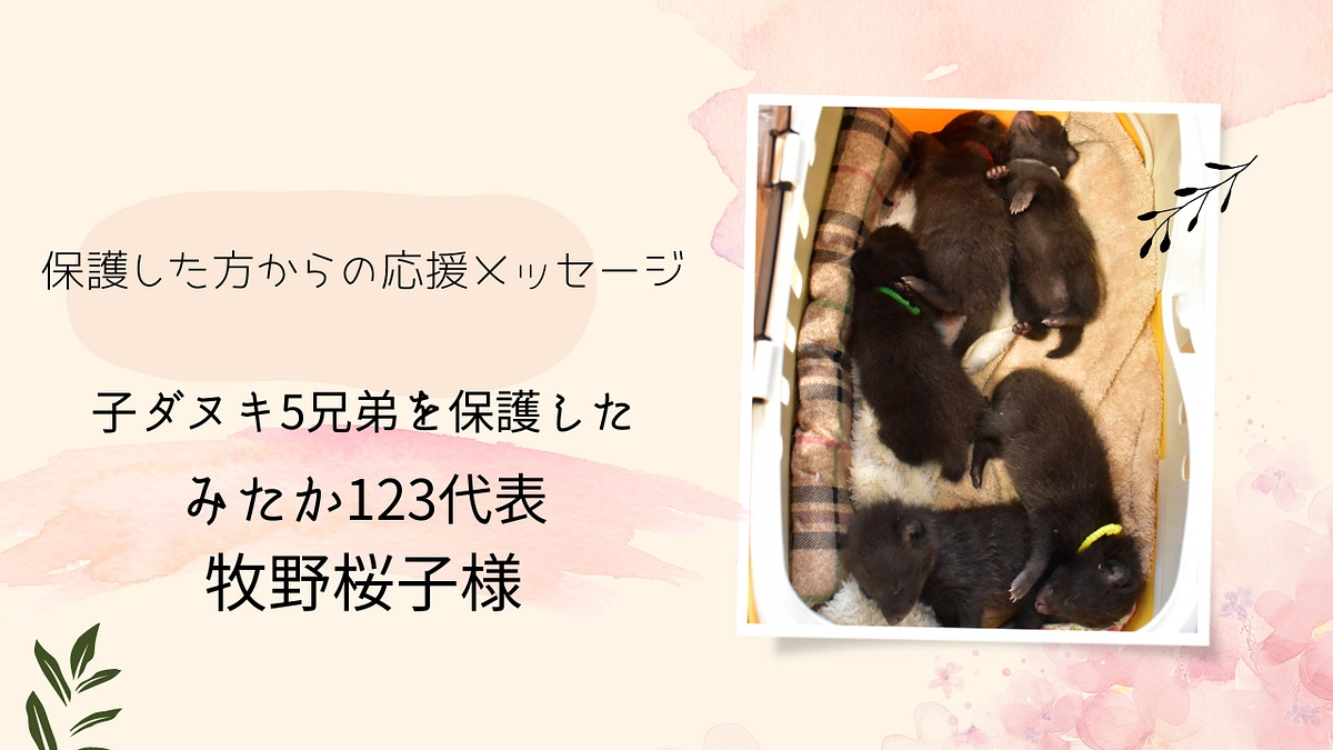 保護主様エピソードリレー Vol3：子ダヌキ5兄弟