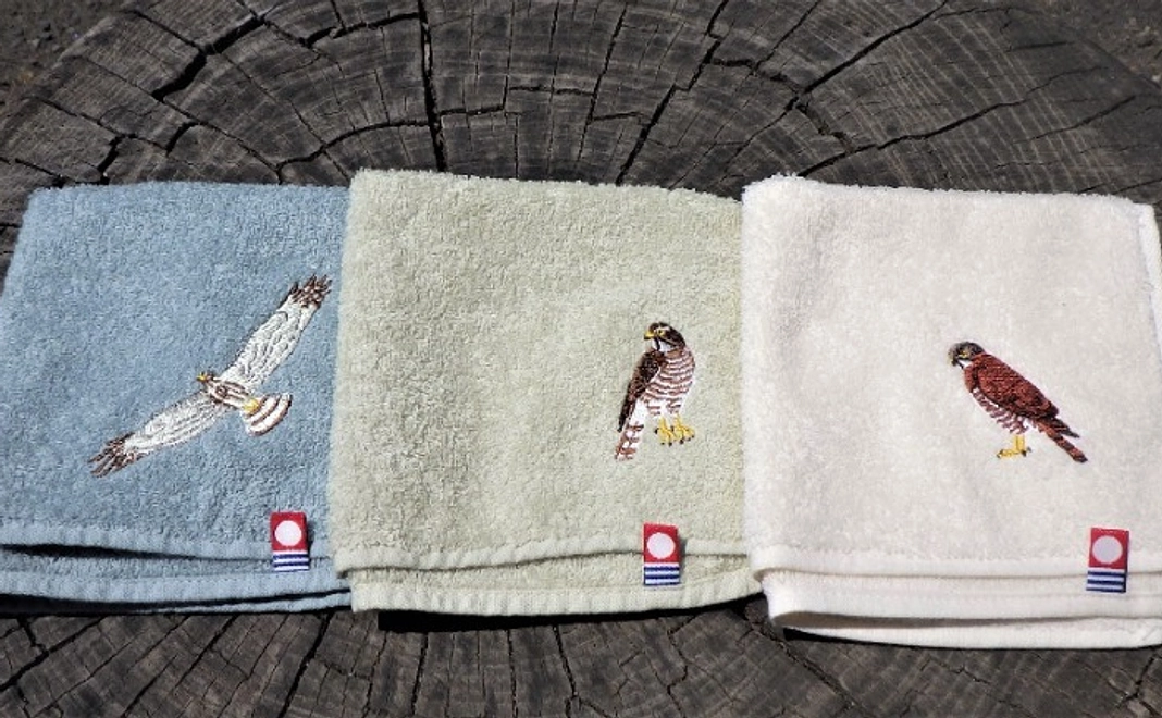 【7/26追加】サシバのタオル(3枚セット)コース|30,000円