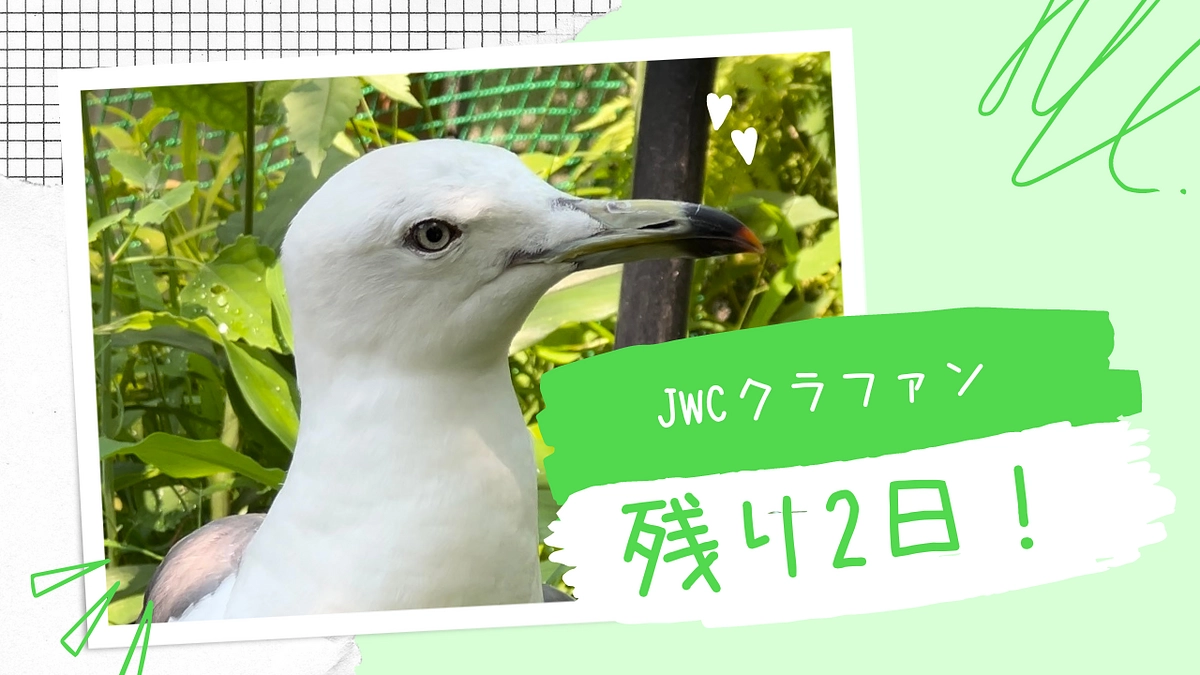 【カウントダウン残り2日】もう手に入らないかも！？ おすすめリターンのご紹介！！