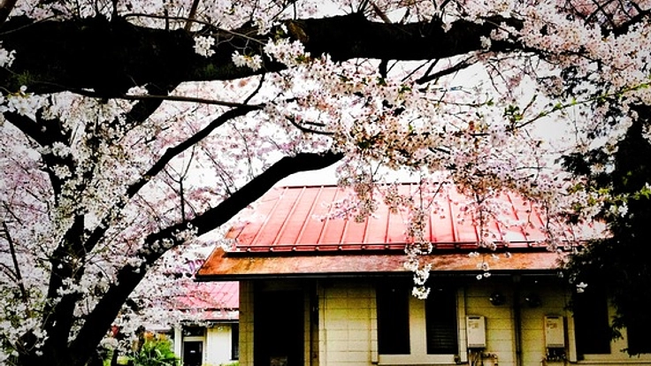 取り壊し目前！？阿佐ヶ谷住宅を写真集に遺したい。