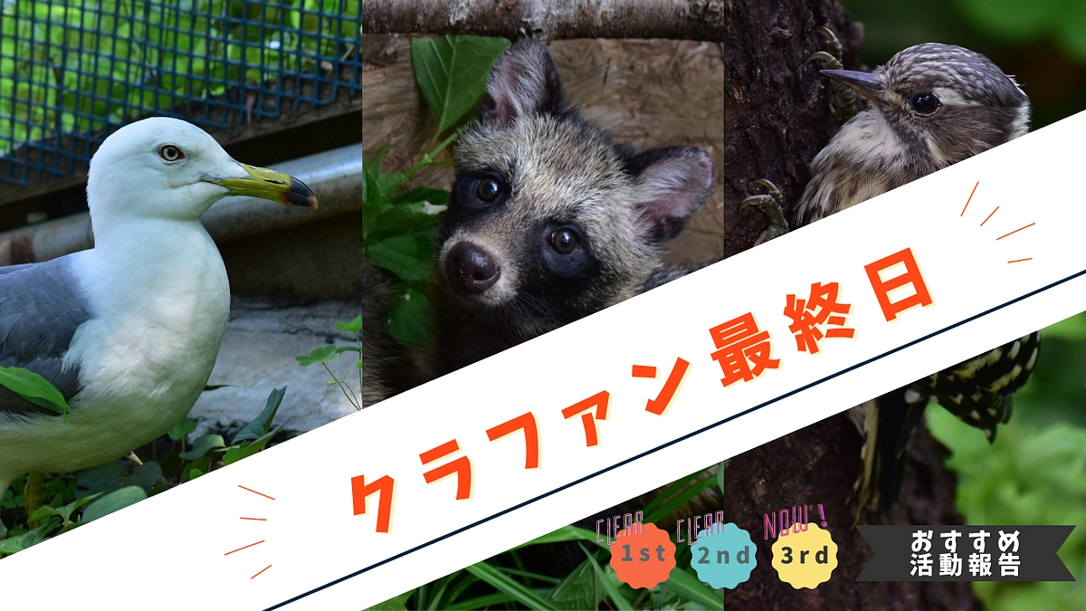 【クラファン本日最終日】助けたいと思った時、少しでも多くの命に手を伸ばせるように