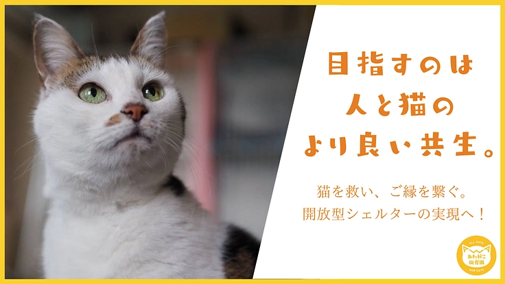 阿波の猫の殺処分ゼロを目指して。念願の開放型シェルター実現へ!