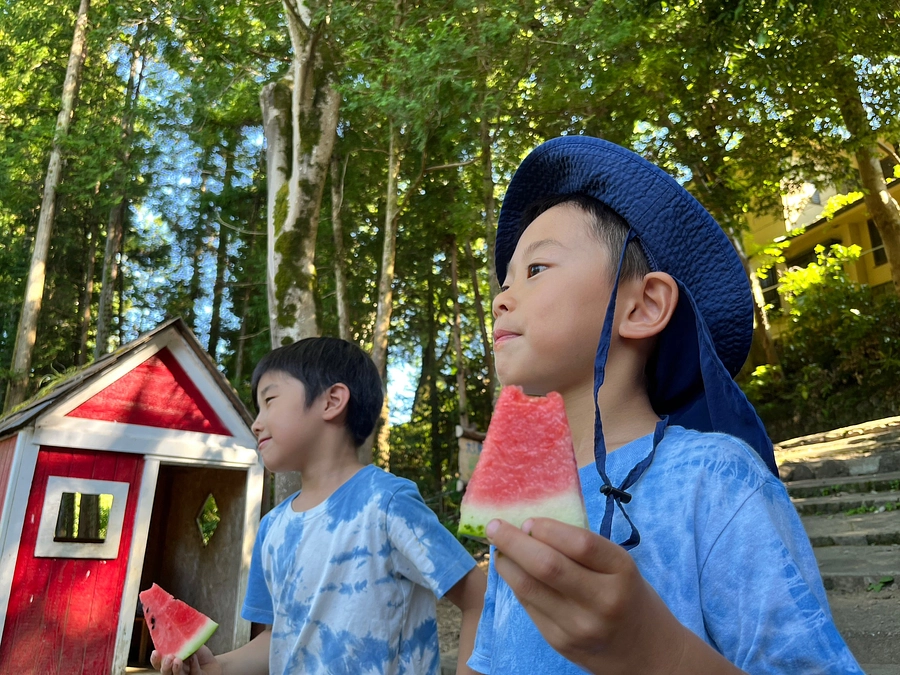 27日目！お帰りなさい森の子さん
