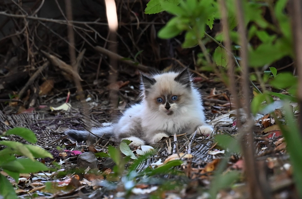 匿名でご支援物資、送ってくださる方へ