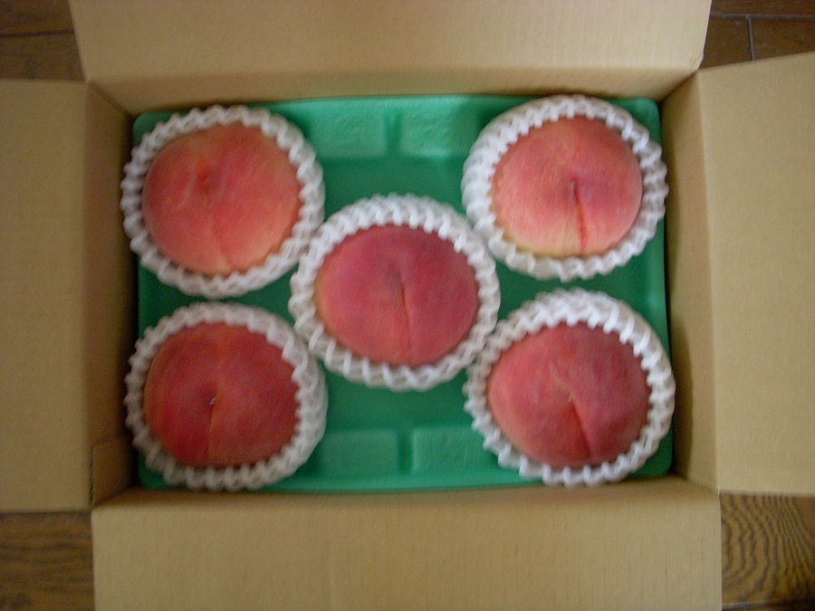 🍑ウメココアさん！有難うございます　長生き出来ます