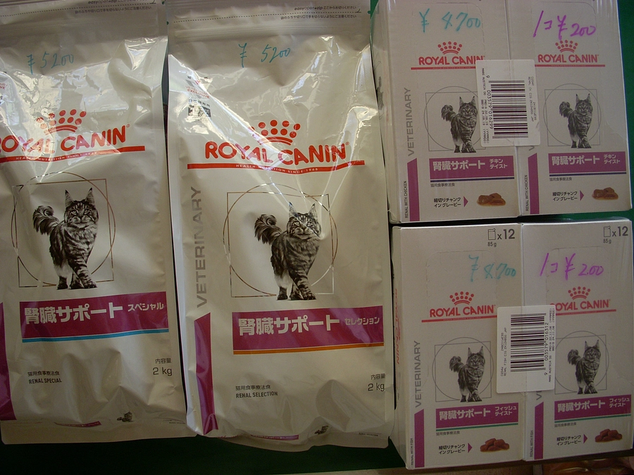 腎臓フード、仕入れました