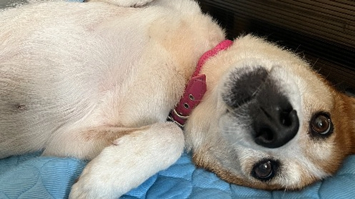 5月・6月収支報告