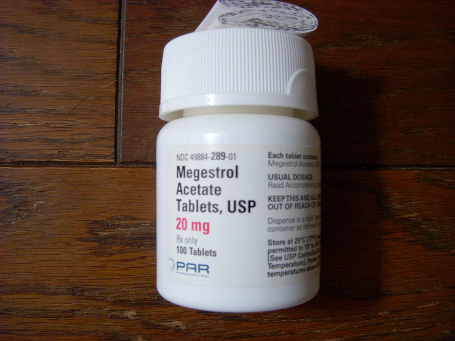 捕まらない猫を妊娠させないために　メゲストロール酢酸エステル