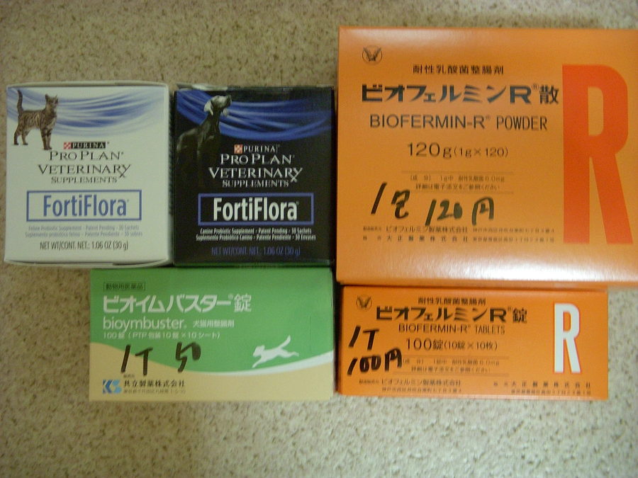 整腸剤（乳酸菌製剤）