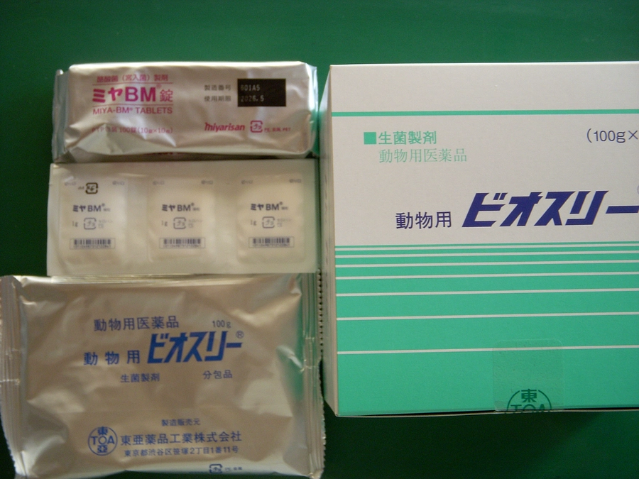 仕入れました！愛猫の下痢・軟便でお悩みの方は　試してみてはどうでしょう？