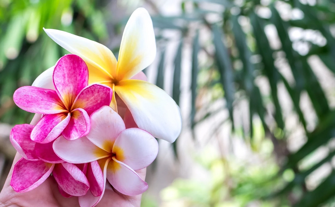 YUHKIの挑戦を応援!!