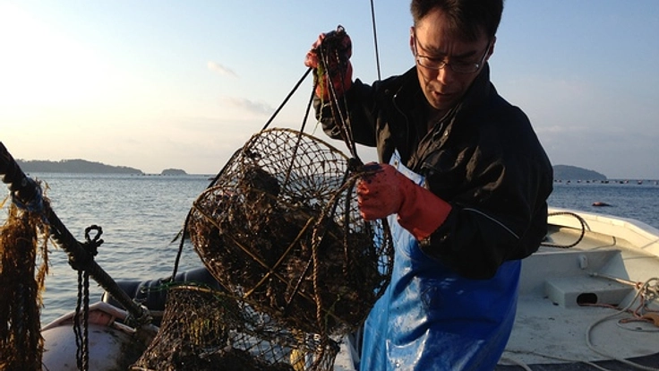 復興を応援！三陸牡蠣ノボリ1000本を全国のお店に立てたい