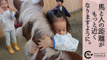 馬を身近な存在に｜活動継続の危機！ポニーの牽引車両更新にご支援を のトップ画像