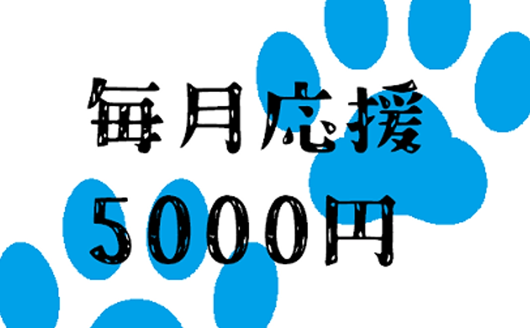 毎月5000円コース