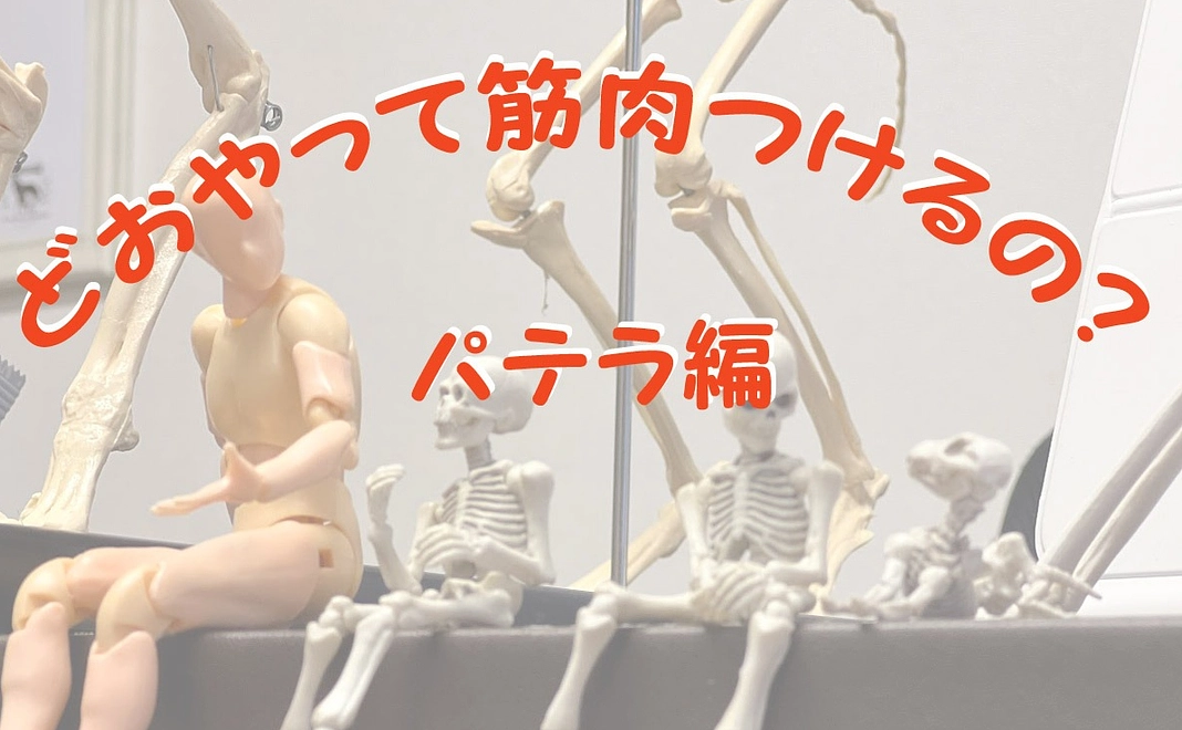 3　動画セミナー　パテラ（自立歩行可能）の犬の筋トレ