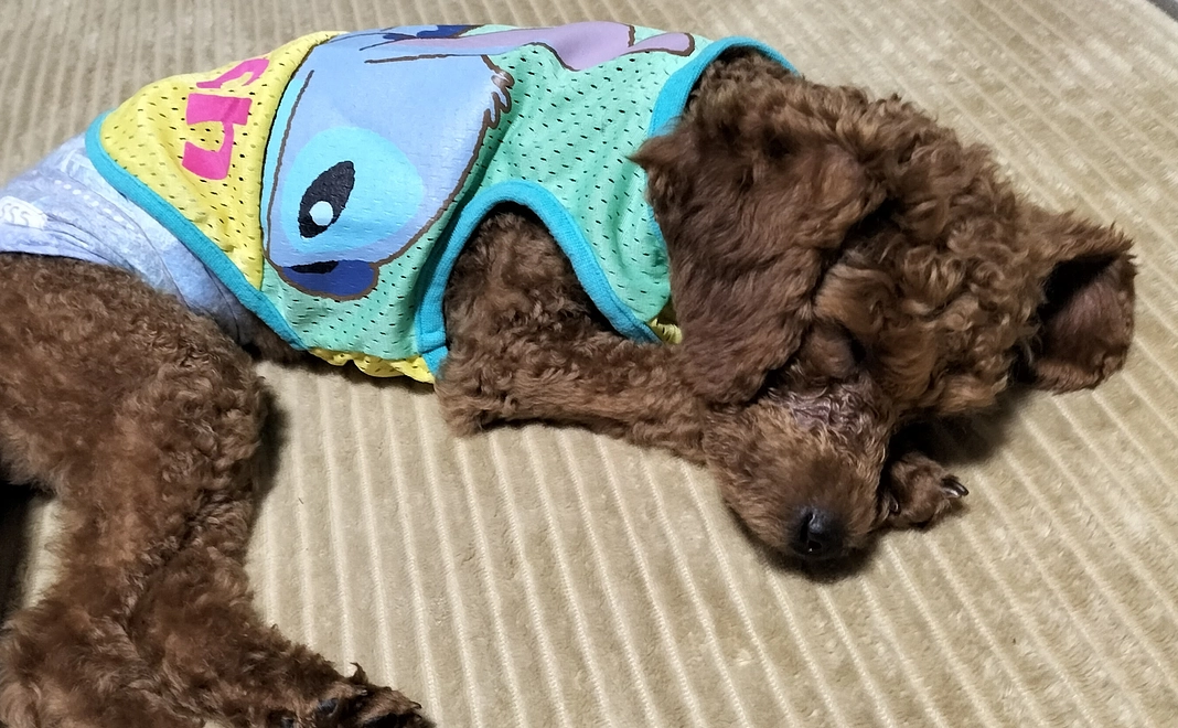 頑張れ！れお②