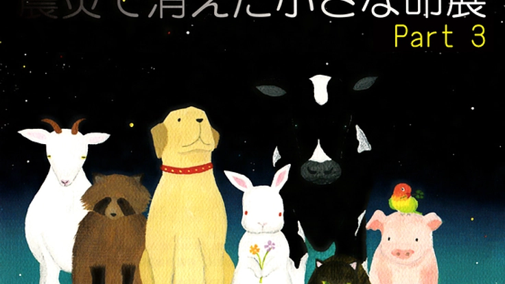 「震災で消えた小さな命展」で、動物の命の大切さを伝えたい