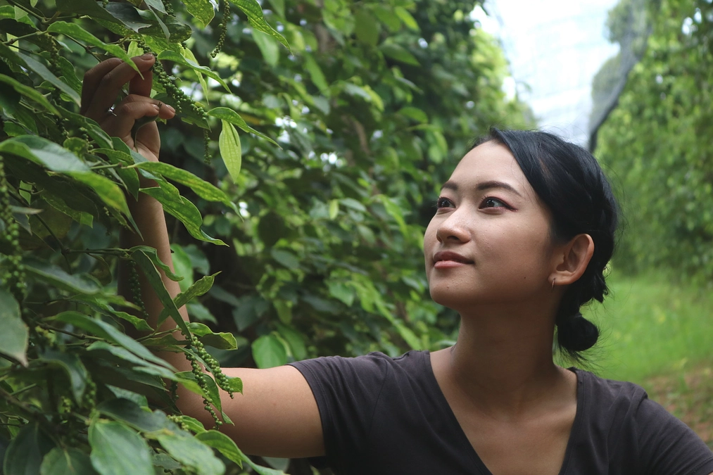 木下レイナさんから応援メッセージを頂きました！