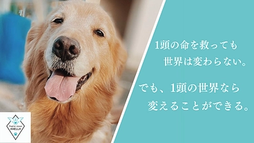 1頭の世界を変える。医療用シェルター兼ふれあいカフェ新設にご支援を のトップ画像