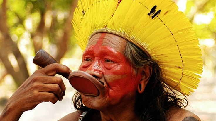 アマゾンからカヤポ族長老ラオーニと青年男性を日本に呼びたい！