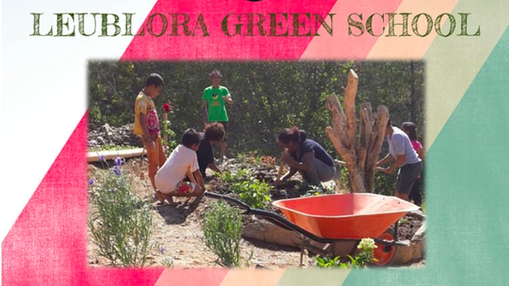 東ティモールに国内初のエコ・スクールを開設したい！