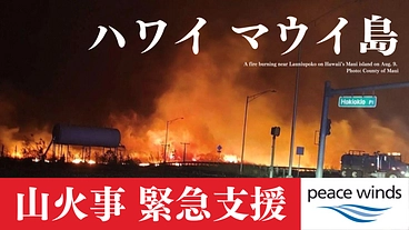 ハワイ・マウイ島山火事 緊急支援 のトップ画像