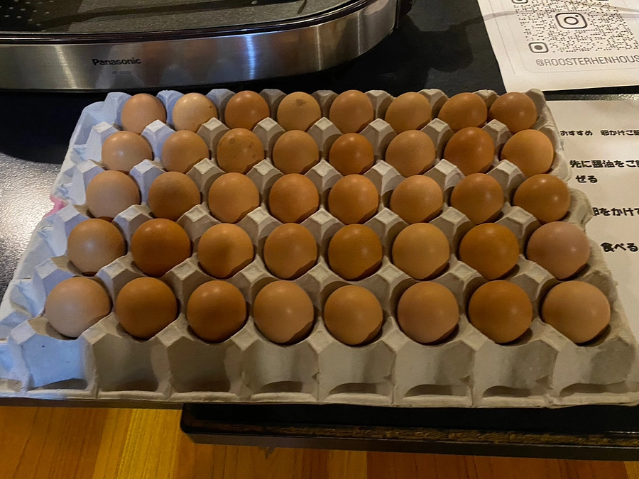 第2回日本代表合宿報告