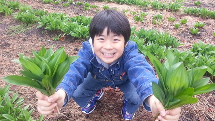 幻の山菜「行者ニンニク」の生産量を増やす散水設備を購入したい