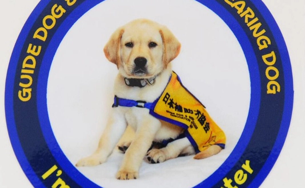 ほじょ犬応援サポーター（5,000円）