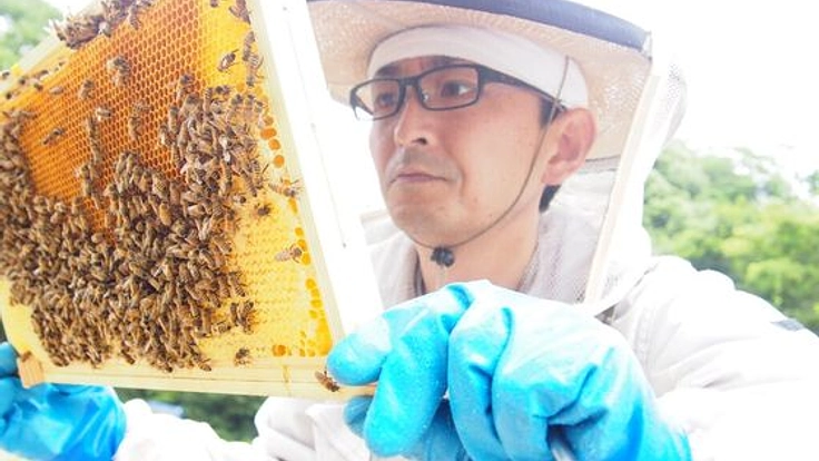 養蜂業界に革命！ITシステムを活用して美味しい蜂蜜を生産する！
