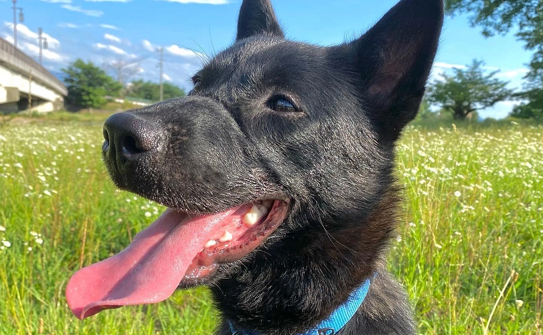 お気持ちコース