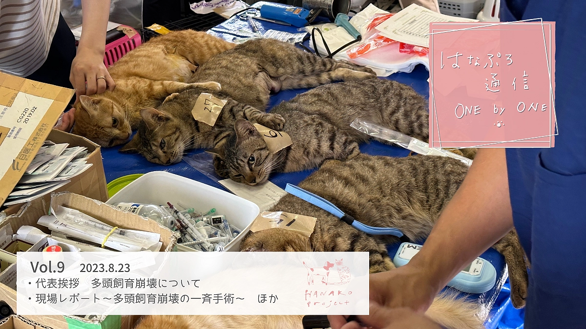 「はなぷろ通信　one by one」Vol.９