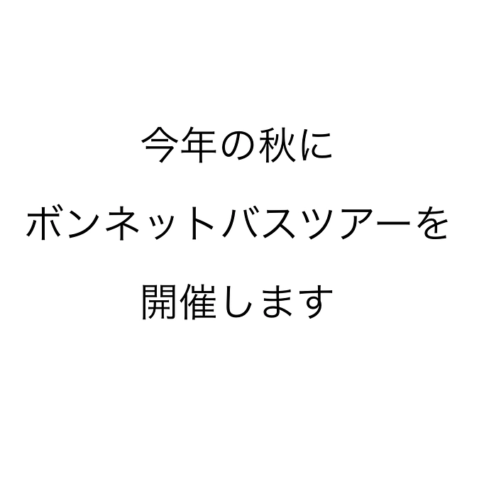 秋にボンネットバスツアーを開催予定！