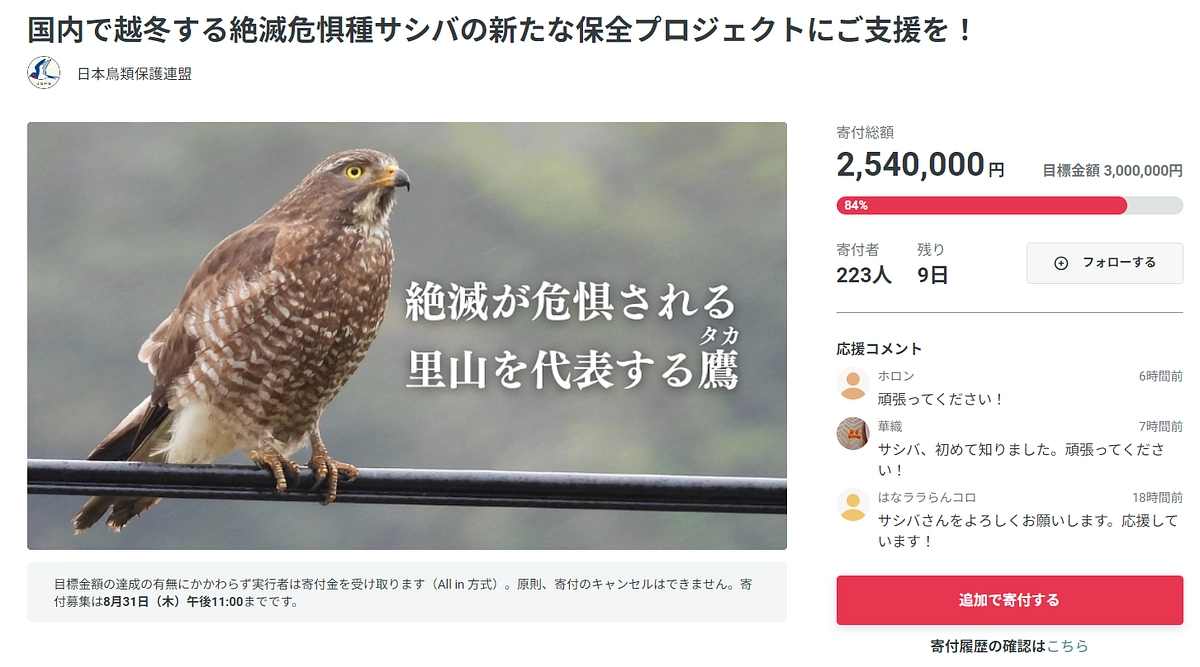 【ご協力のお願い】サシバを救え！ 日本鳥類保護連盟様のクラウドファンディングを応援！