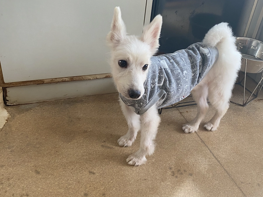 ご支援ありがとうございます。