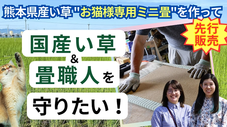 熊本県産い草【お猫様専用ミニ畳】を作って国産い草・畳職人を守りたい