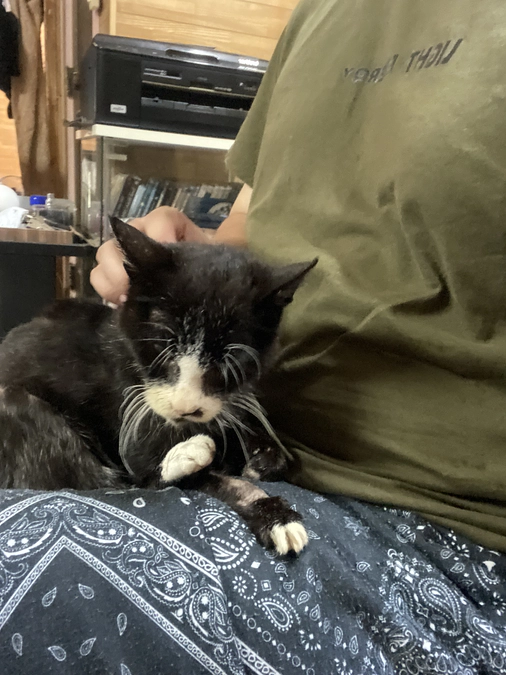 アビの今の現状についてご報告