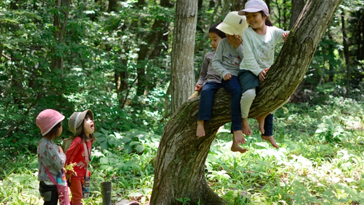 森のようちえんの森の木を使った園児と保護者による家具づくり