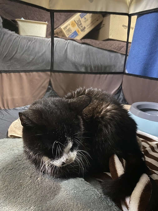 ３１日の受診についてご報告