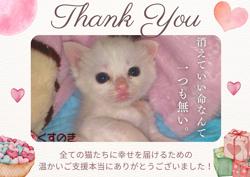 リターン完了のご報告