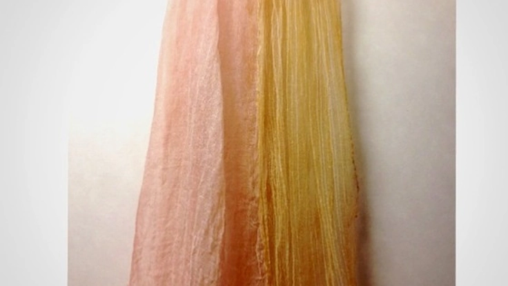 日本の文化、草木染めの生地で作った衣服の写真集を作りたい！