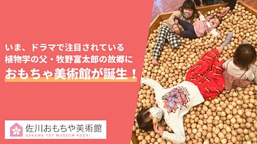 牧野富太郎の植物学のエッセンスが満載のおもちゃ美術館をつくりたい！ のトップ画像