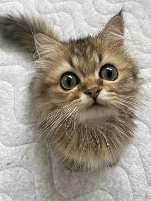 はじめまして！よろしくお願いいたします。