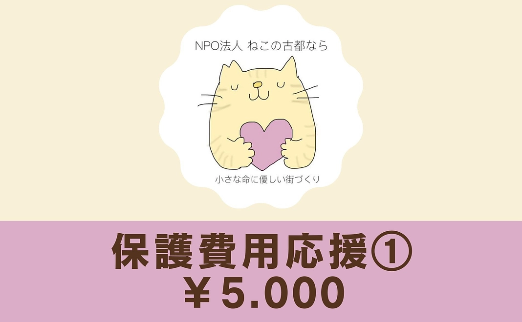 保護費用応援プラン①