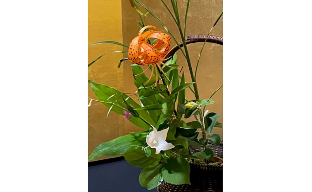 <寄付金控除型> お気持ち応援Aコース