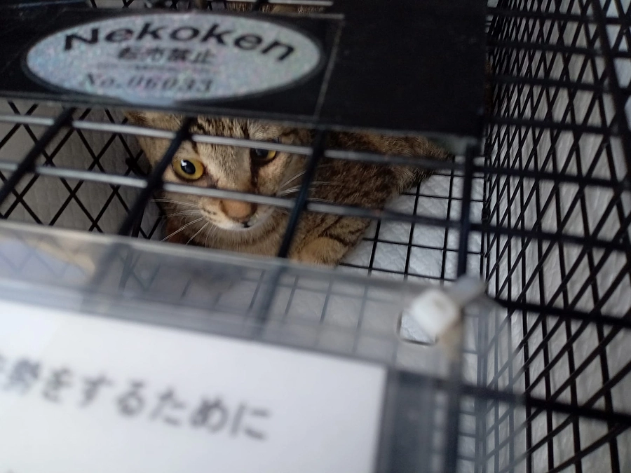 遅くなりましたが、入金のお礼を申し上げます