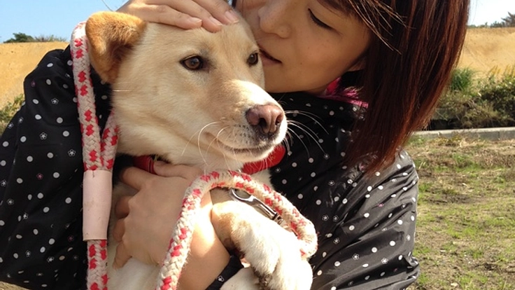 犬猫90頭保護施設、走行距離21万kmの活動車両を買い替えたい！