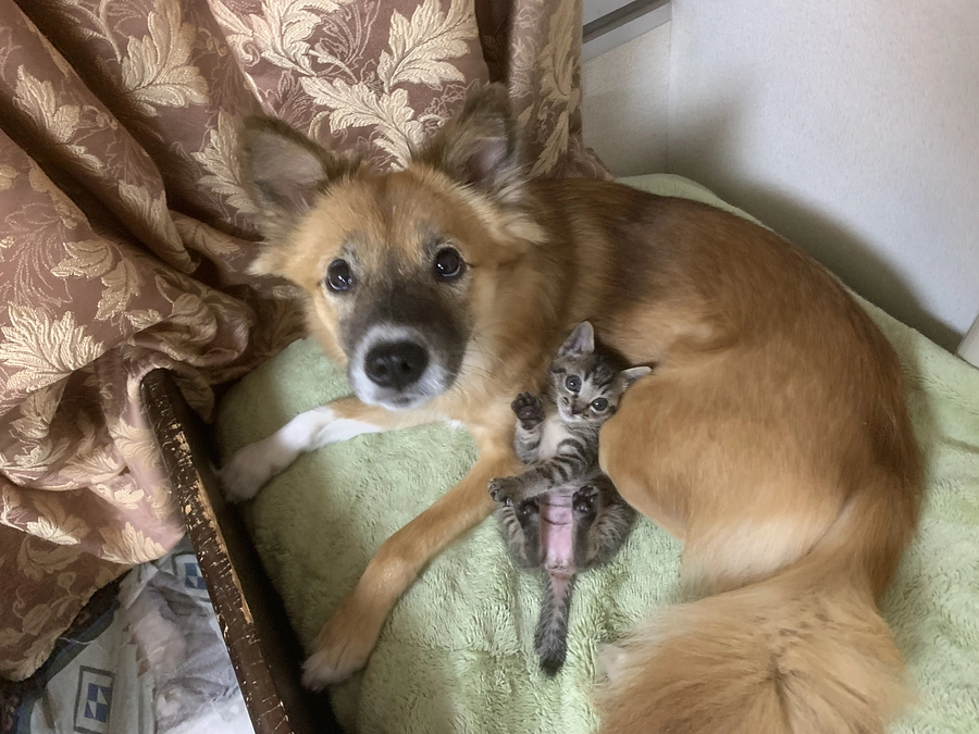 クラウドファンティング達成しました！！　応援ご支援ありがとうございました